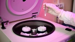 Ученые Сахалина улучшат продукты для жителей ДВ и Арктики с помощью биотехнологий