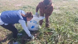 Волонтеры «Единой России» организовали уборку на берегу Охотского моря