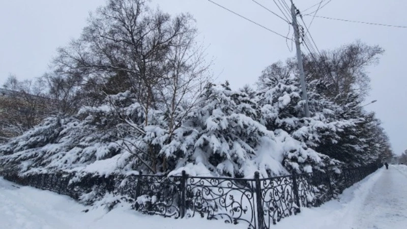 Холодная ночь и день без осадков ожидают жителей Южно-Сахалинска 11 января