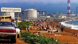 Акция «Не словом, а делом» пройдет на побережье в Корсаковском районе 7 октября