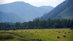 Учёные пропали в Сибири, Путин анонсировал новые выплаты. Главное на утро 18 сентября