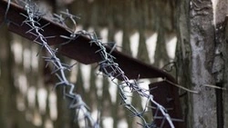 Жителя Хабаровского края отправят в колонию за мошенничество на Сахалине