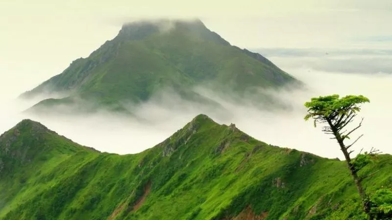 Сахалин на третьем месте по числу одобренных заявок на «дв-гектар»