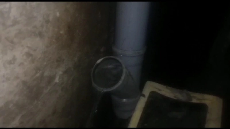 Жители района Южно-Сахалинска страдают от наплыва и запаха фекалий