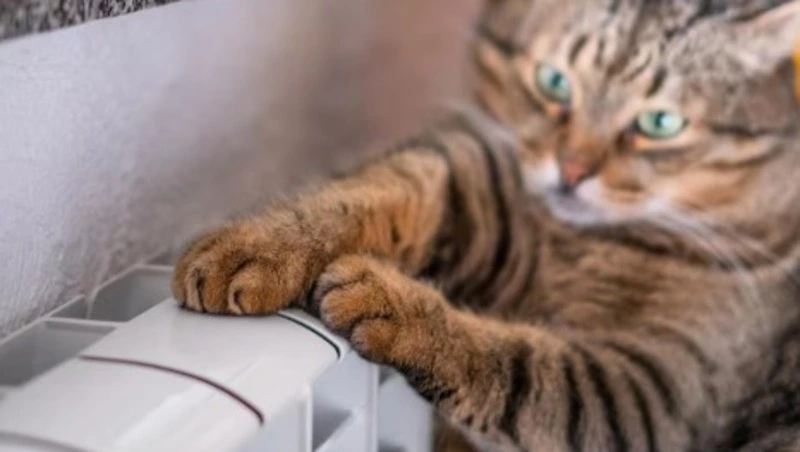 Без отопления на шесть часов остались три улицы Южно-Сахалинска 22 октября