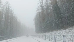 Метель на Сахалине и ливень на Курилах спрогнозировали синоптики на 18 ноября