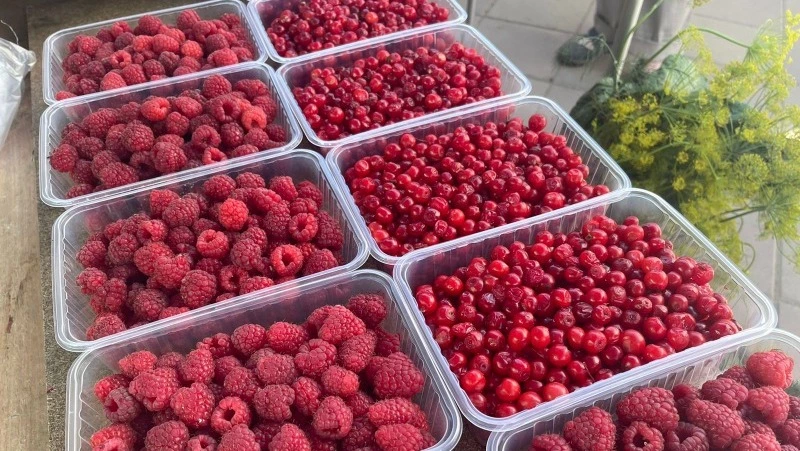 Цены на первую клоповку назвали в Южно-Сахалинске