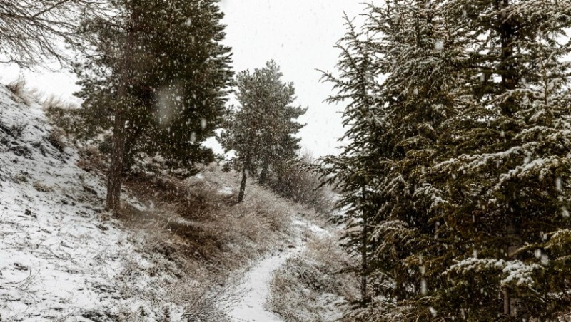 Сильный снег и  метель  накроют Сахалинскую область 13 января