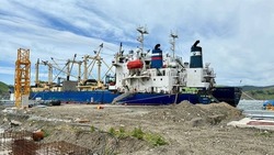 Минтай «прикинулся» моллюском: как сахалинский рыбокомбинат «Островной» оштрафовали на 80 миллионов