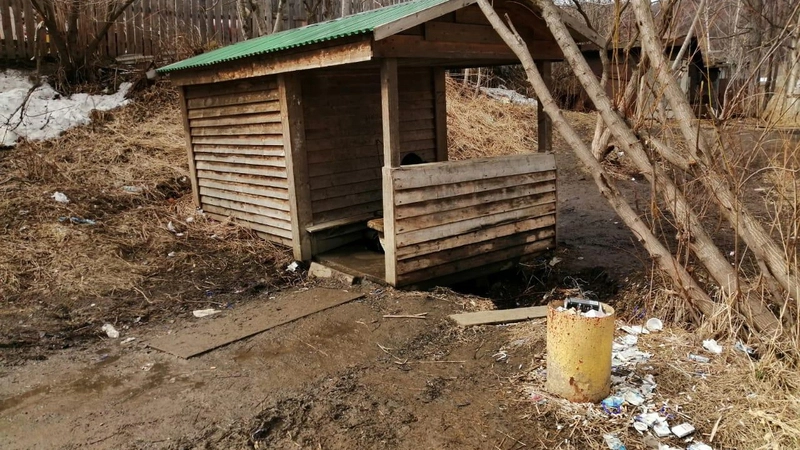 Популярный углегорский родник погряз в мусоре
