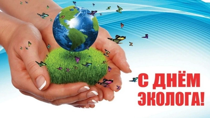 Красивые картинки и открытки с Днем эколога 2024