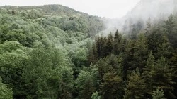 «Сахалинморнефтемонтаж» заплатит 953 тысячи рублей за вред природному заказнику в Охе