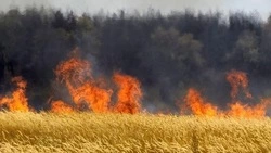 Пожарные не дали огню перейти на жилую постройку в Охе