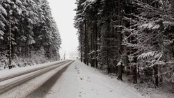 Рейсы 13 автобусных маршрутов отменят на Сахалине 8 марта из-за метели