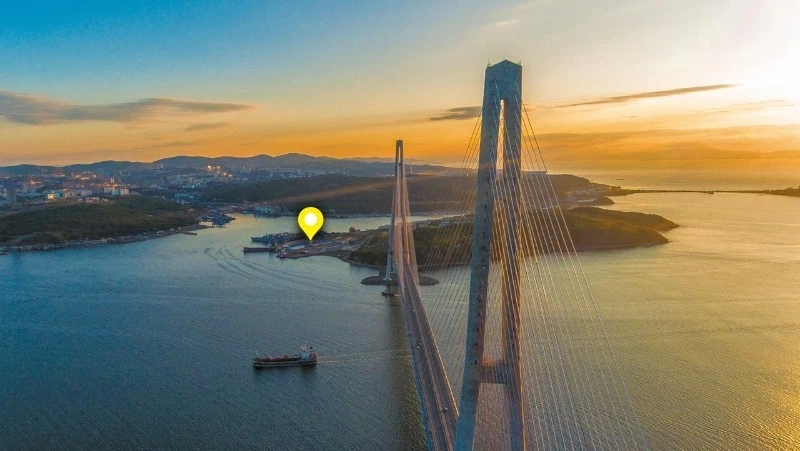 Рынок аукционных торгов переживает период активного роста