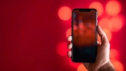 Сенатор Шейкин: мессенджер MAX не будет обязательным для всех россиян