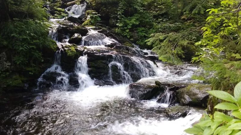 Сахалинские спасатели полночи эвакуировали упавшую с водопада туристку из леса