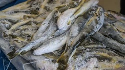 Продажа наваги и камбалы по доступным ценам пройдет в Южно-Сахалинске 10 марта 