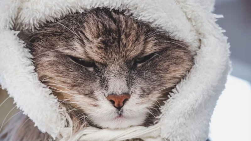 Без отопления на шесть часов останутся четыре улицы Южно-Сахалинска 28 ноября