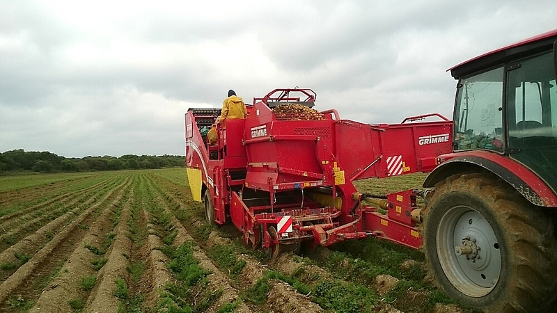 ГУСП «Комсомолец»: реальность и перспективы