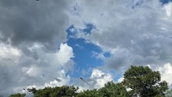 Облачно и тепло до +28 будет в Южно-Сахалинске 14 августа