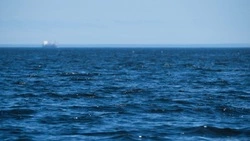 Землетрясение магнитудой 5,3 произошло у берегов Сахалина в Охотском море