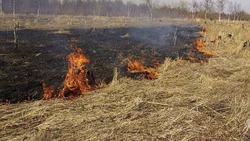 Пожарные потушили возгорания травы в трех районах Сахалинской области за сутки