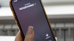 Запись на УЗИ и продажа шубы обернулись потерей миллионов для сахалинцев