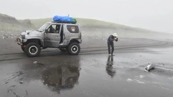 Лису в момент охоты на Кунашире поймали в объектив туристы