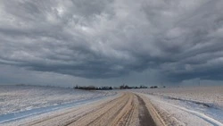 Ураганный ветер с дождем обрушатся на Северные Курилы 27 декабря